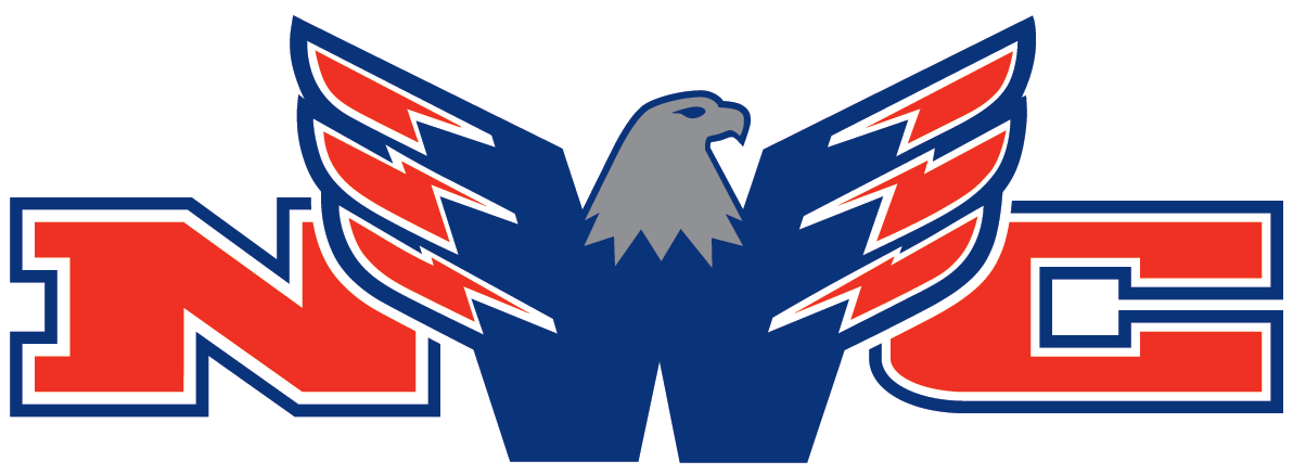 STMAYHA Riverhawks Flame